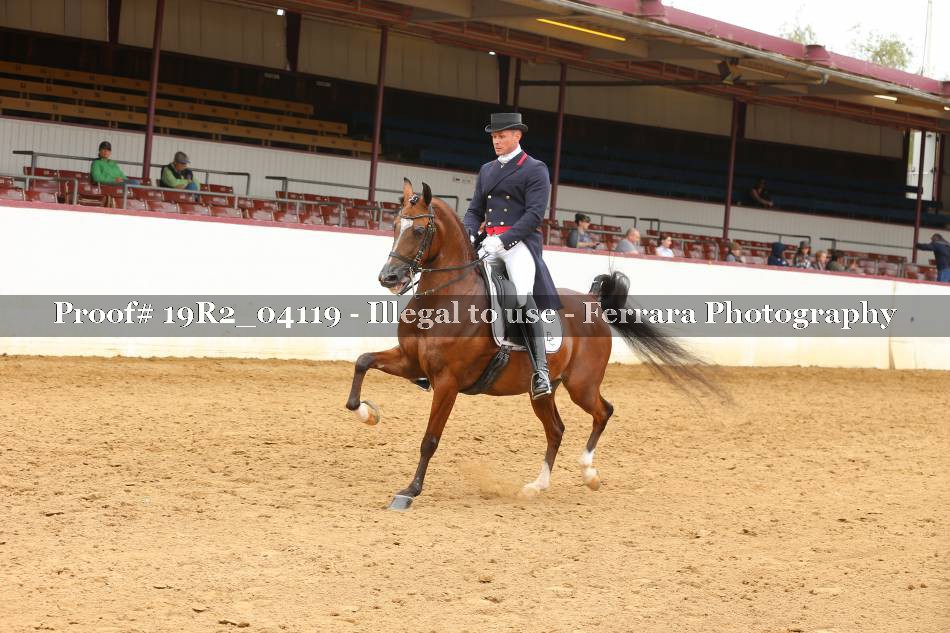 Proof 19R2_04119