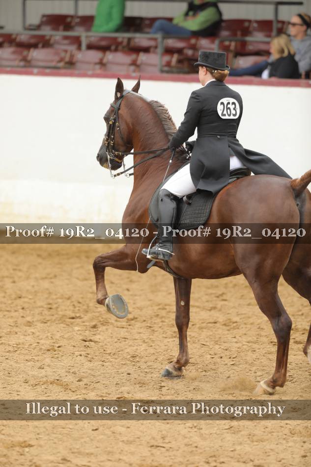 Proof 19R2_04120