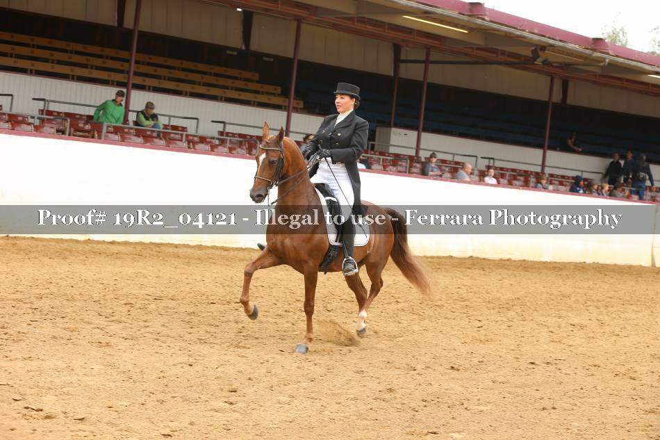 Proof 19R2_04121