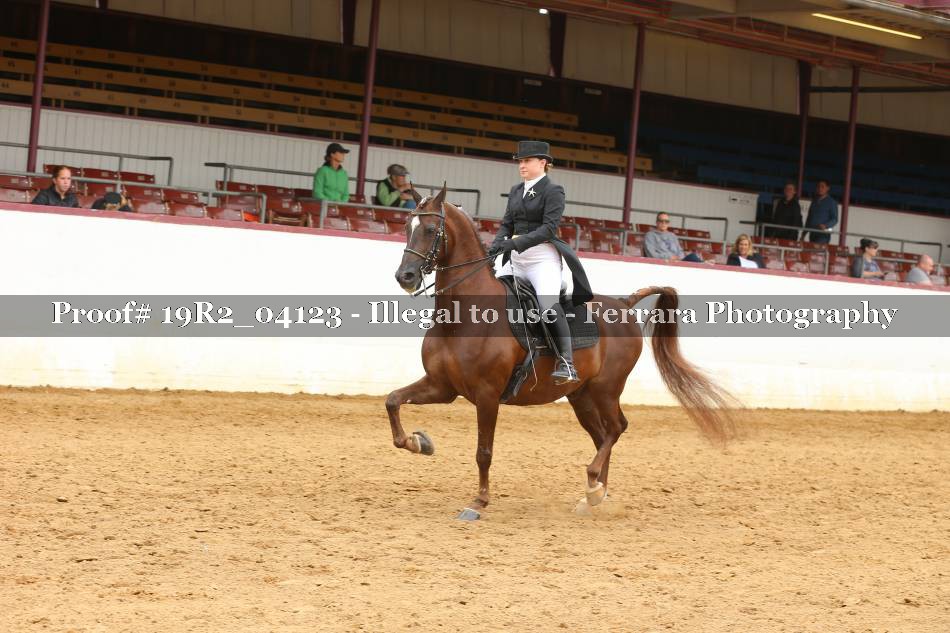 Proof 19R2_04123