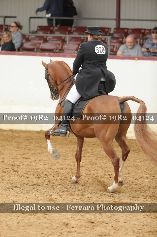 Proof 19R2_04124