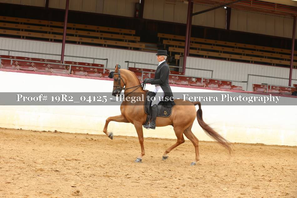 Proof 19R2_04125