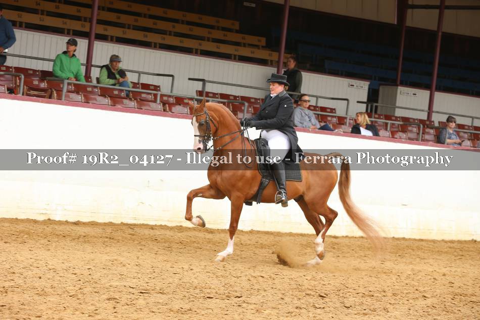 Proof 19R2_04127