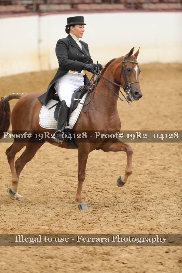 Proof 19R2_04128