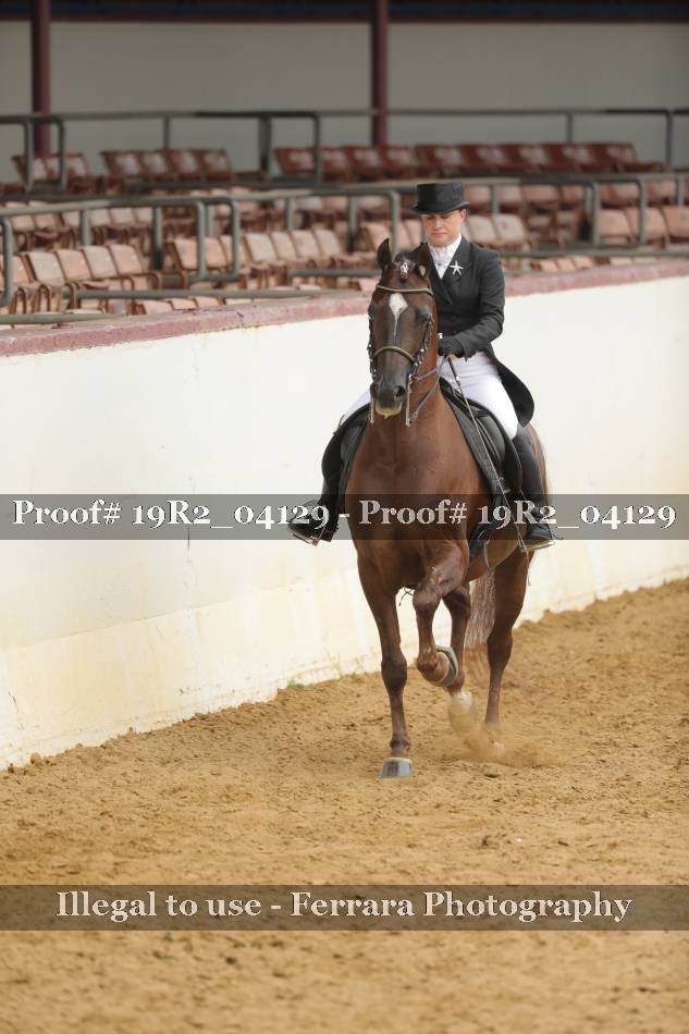Proof 19R2_04129