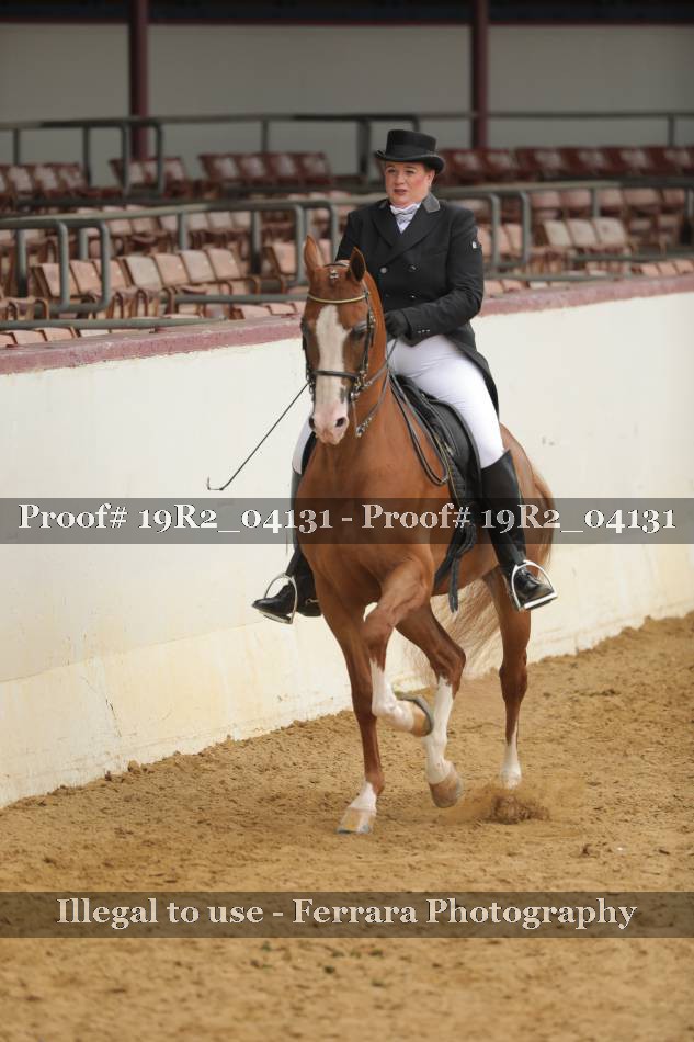 Proof 19R2_04131