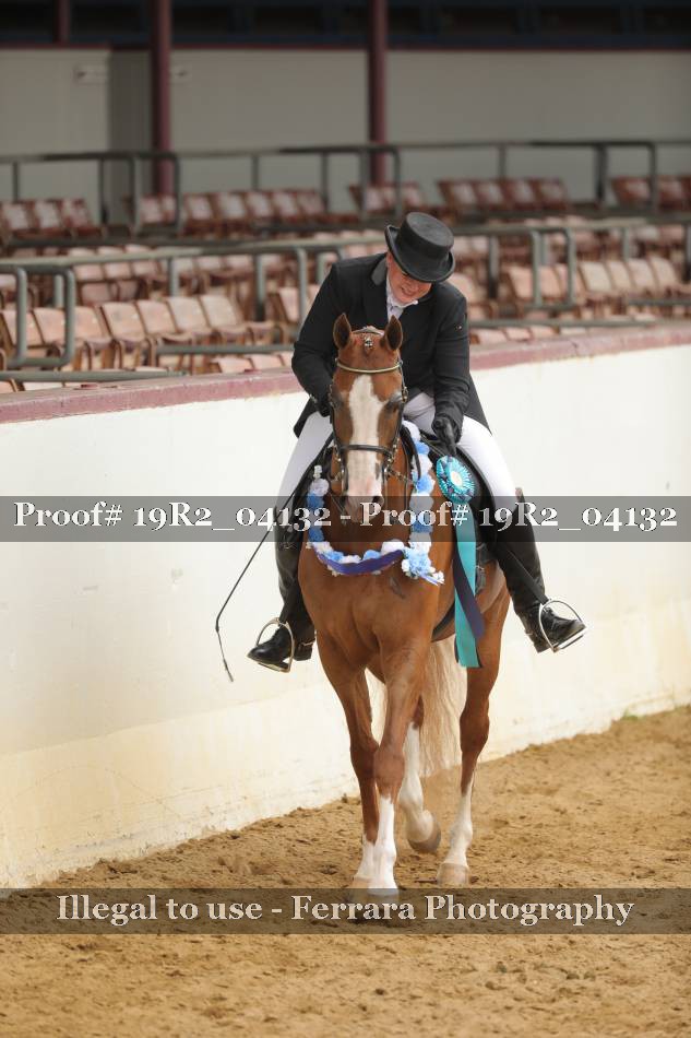 Proof 19R2_04132