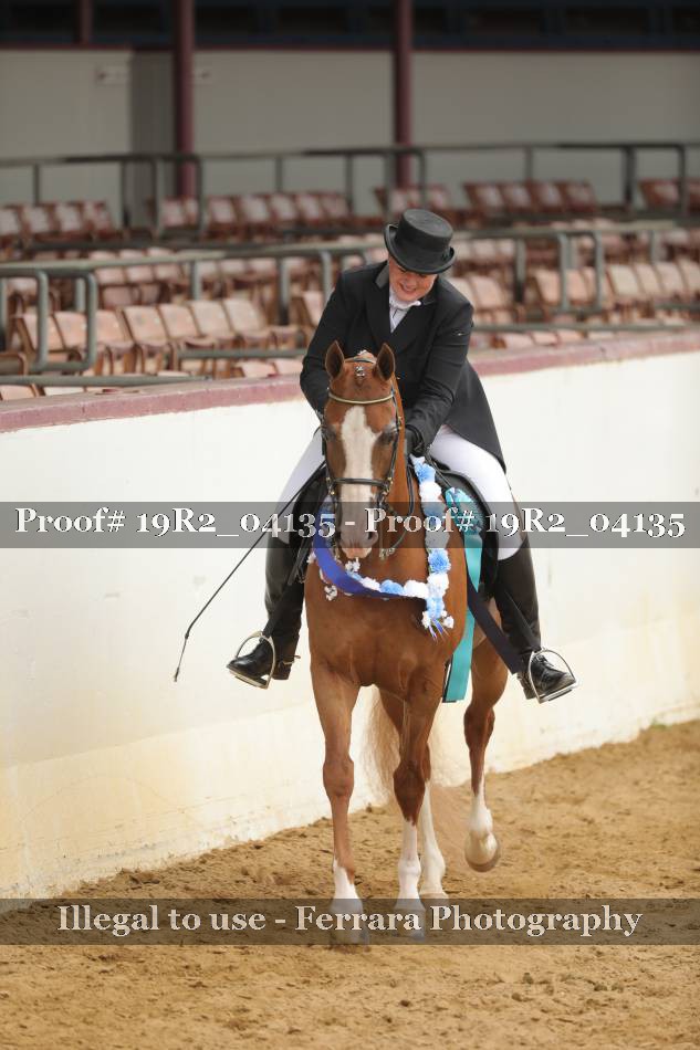 Proof 19R2_04135