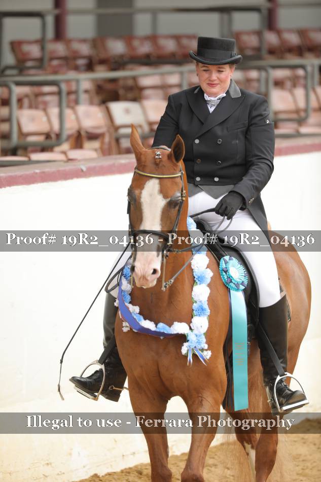 Proof 19R2_04136