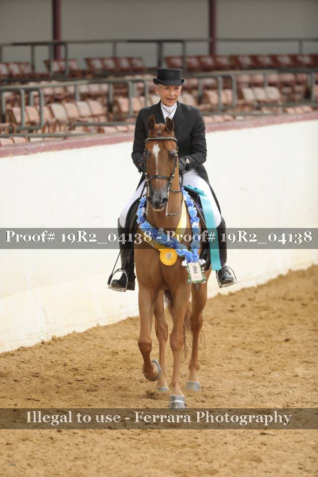 Proof 19R2_04138