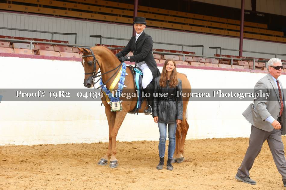 Proof 19R2_04139