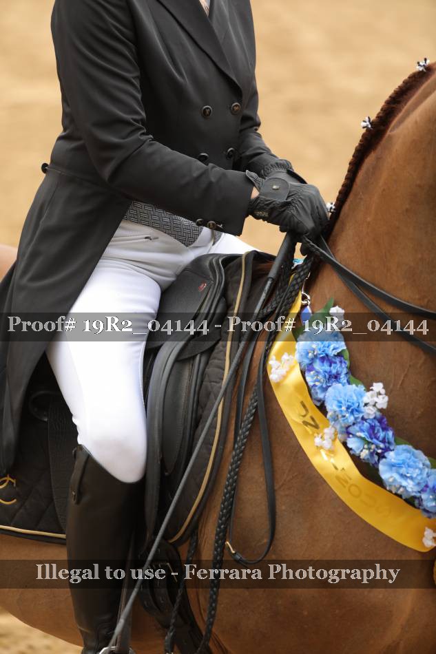 Proof 19R2_04144