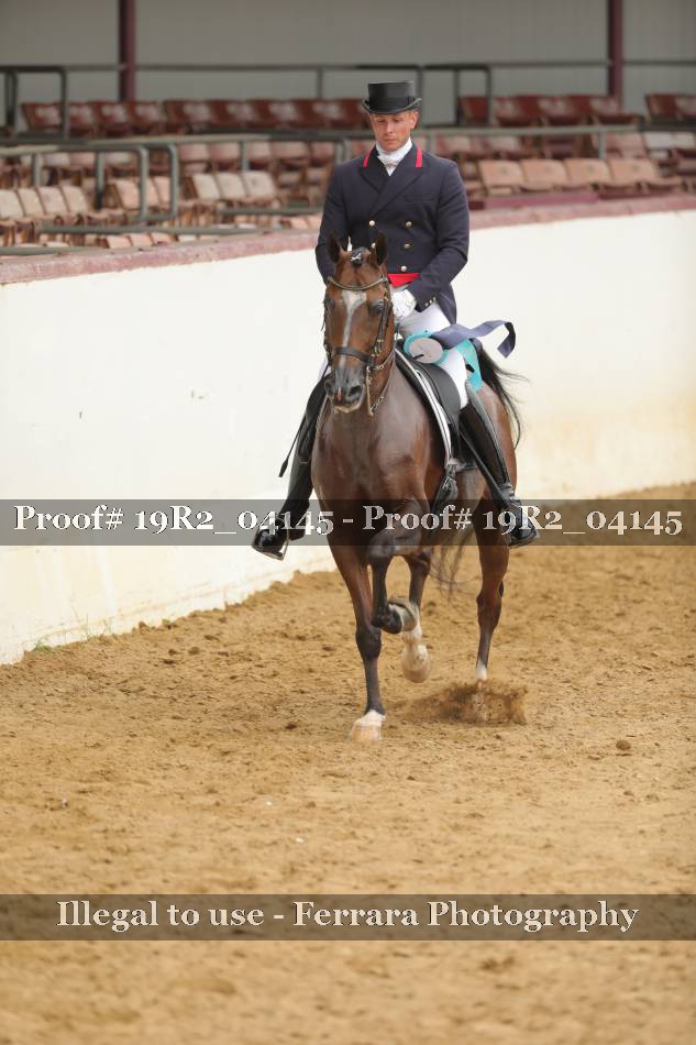 Proof 19R2_04145