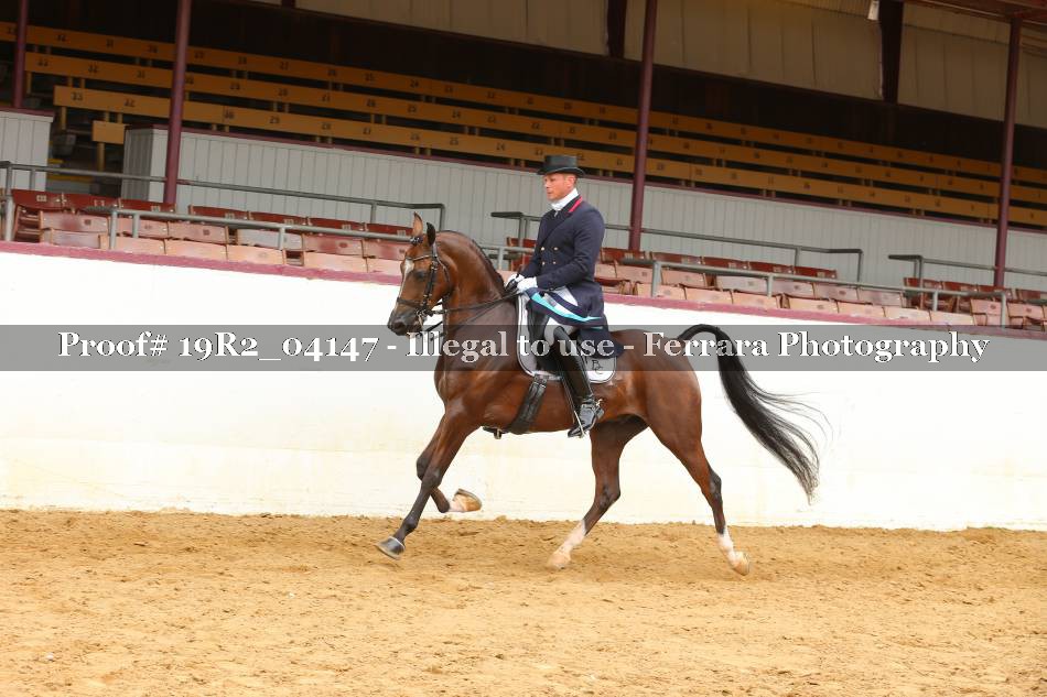 Proof 19R2_04147