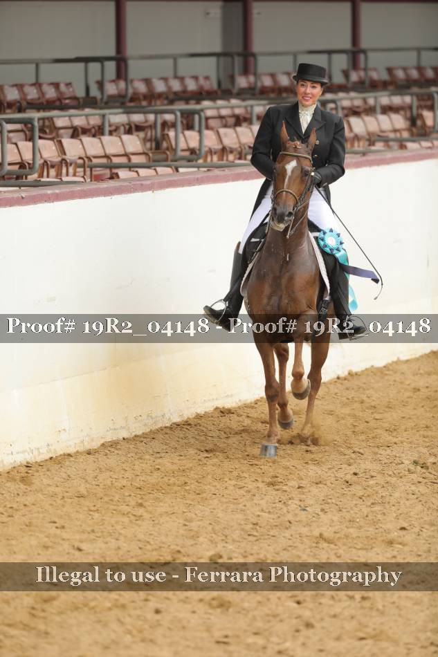 Proof 19R2_04148