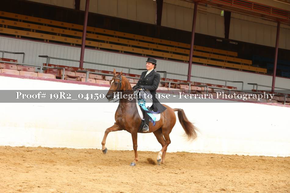 Proof 19R2_04150
