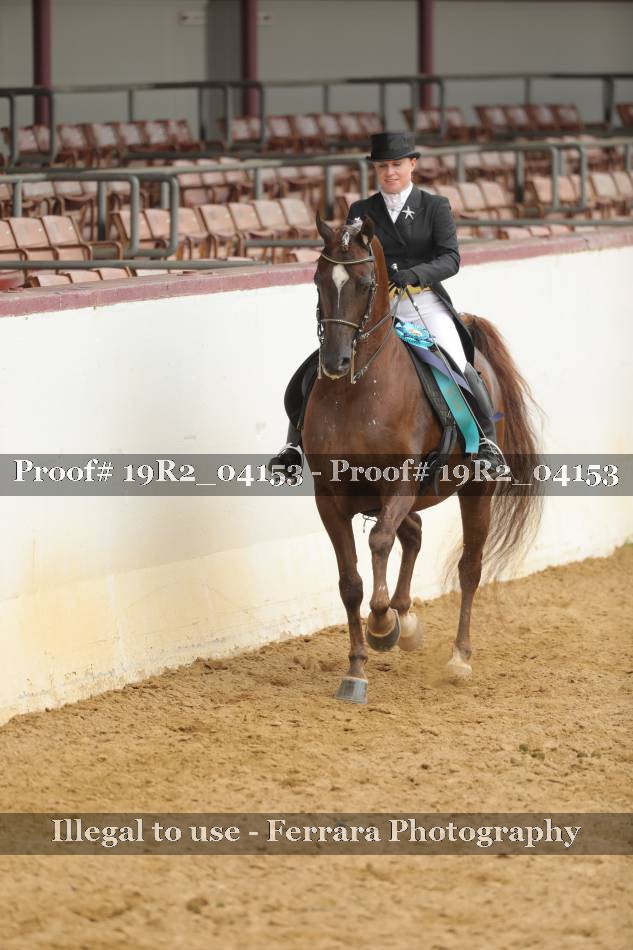 Proof 19R2_04153