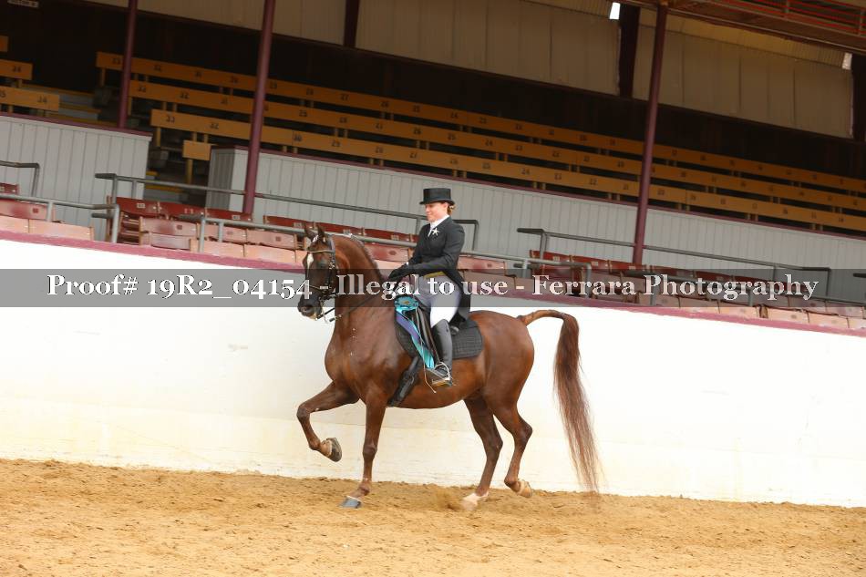Proof 19R2_04154