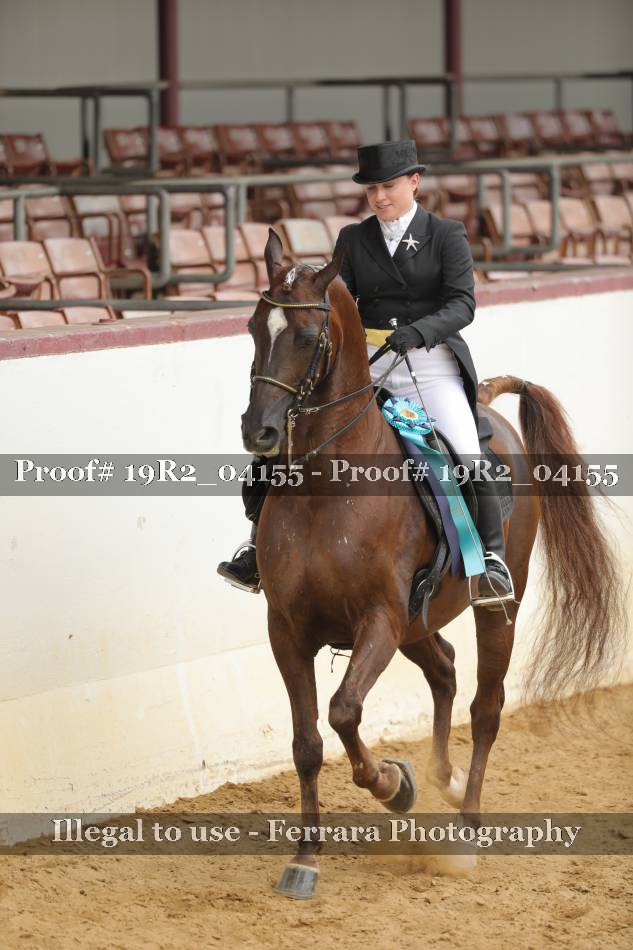 Proof 19R2_04155