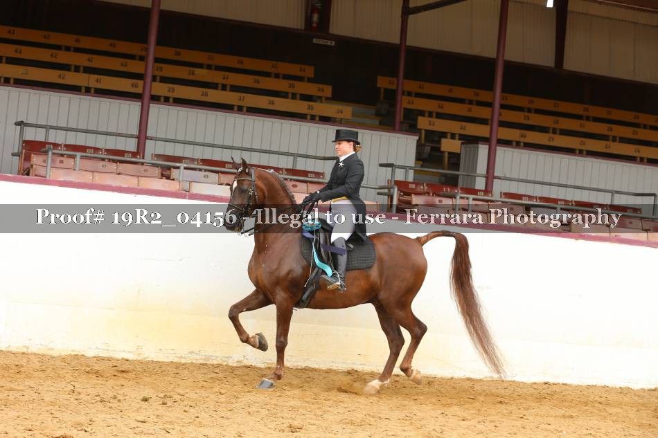 Proof 19R2_04156