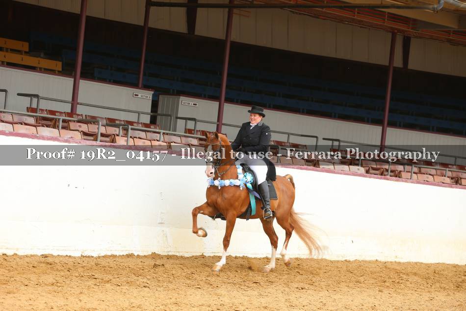 Proof 19R2_04157
