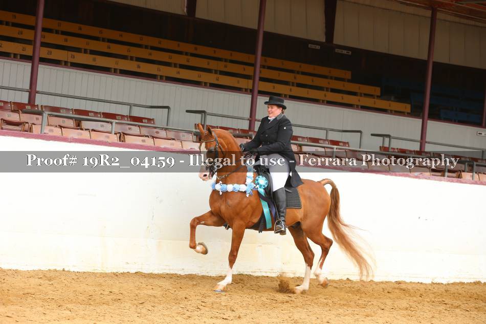 Proof 19R2_04159