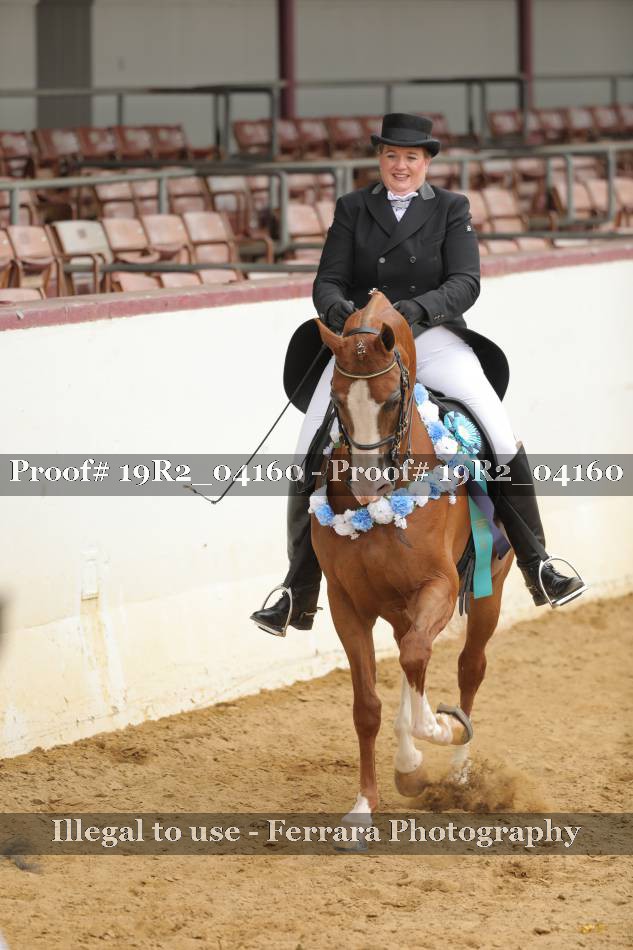 Proof 19R2_04160