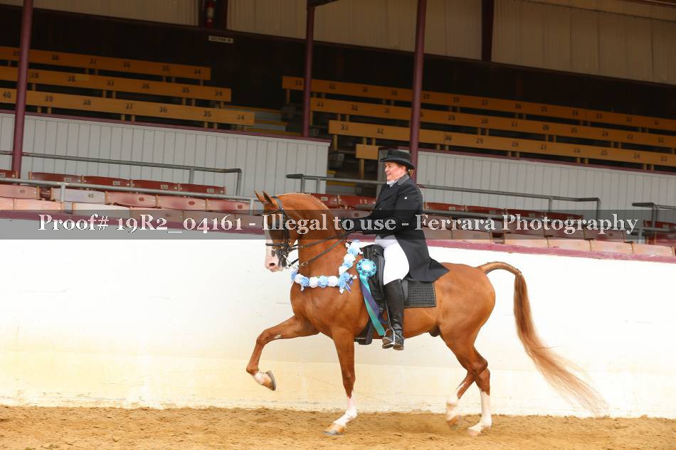 Proof 19R2_04161