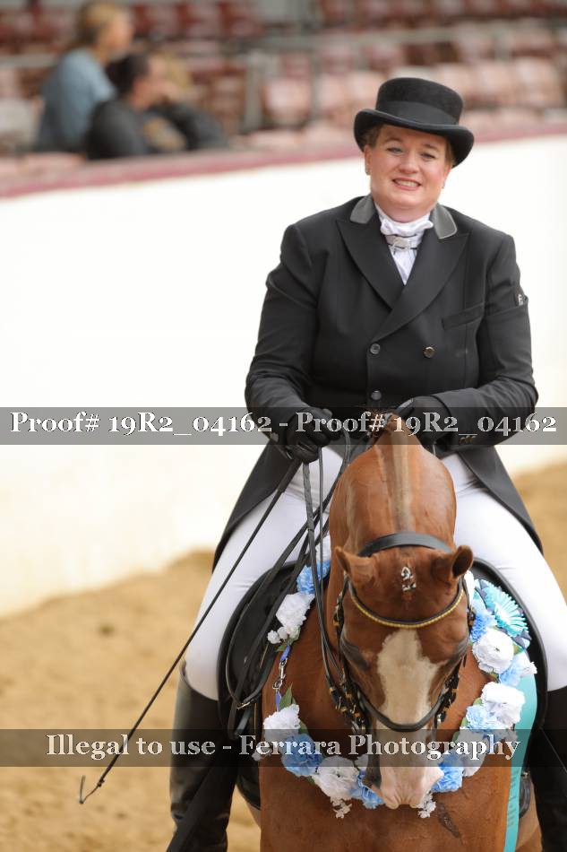 Proof 19R2_04162