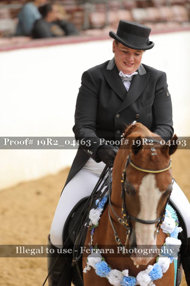 Proof 19R2_04163