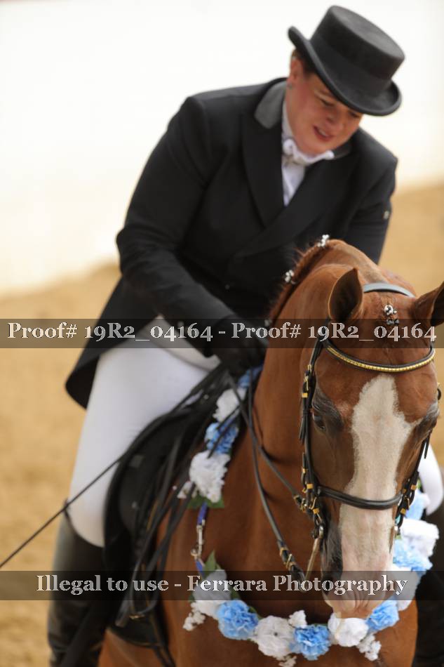 Proof 19R2_04164