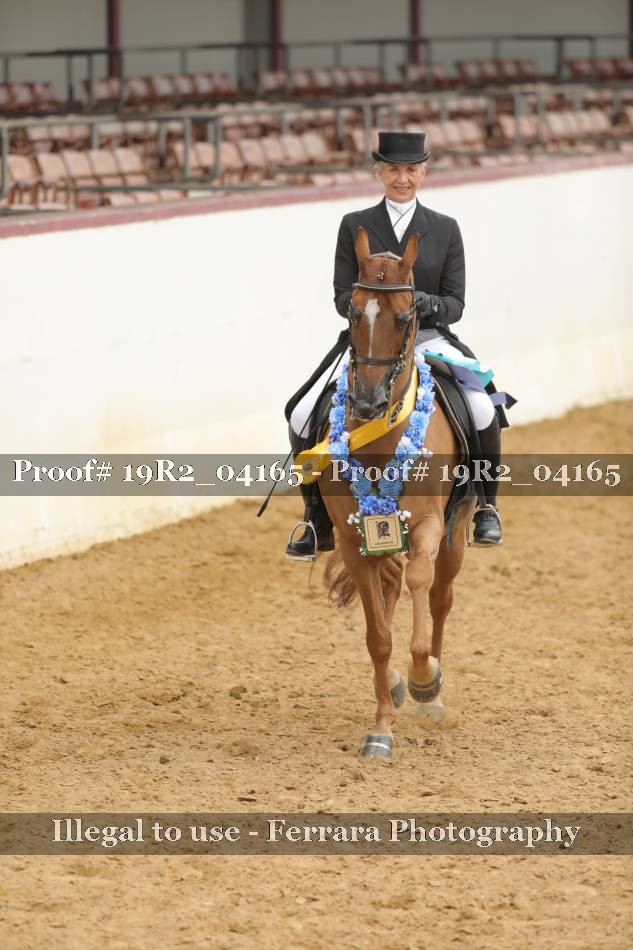Proof 19R2_04165