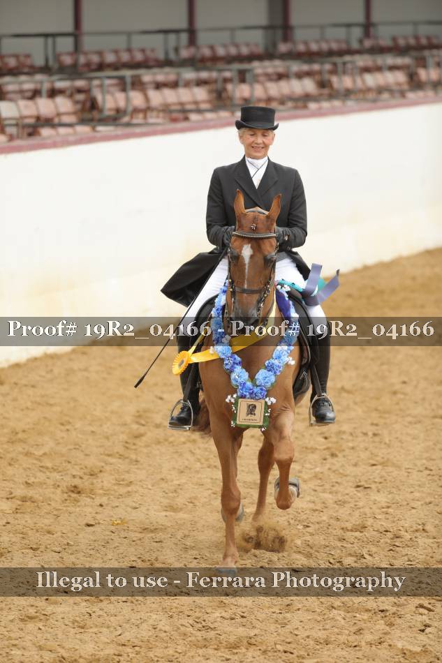 Proof 19R2_04166