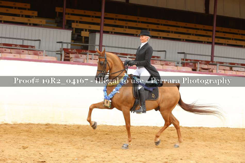 Proof 19R2_04167
