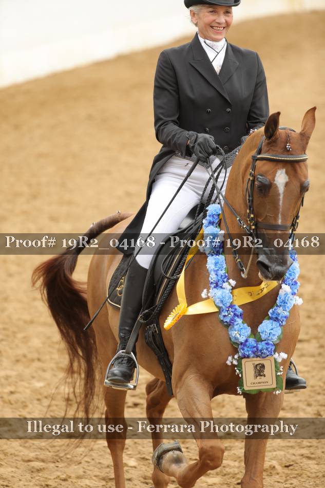 Proof 19R2_04168