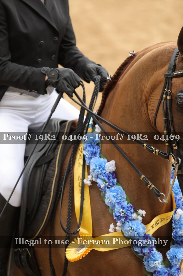 Proof 19R2_04169