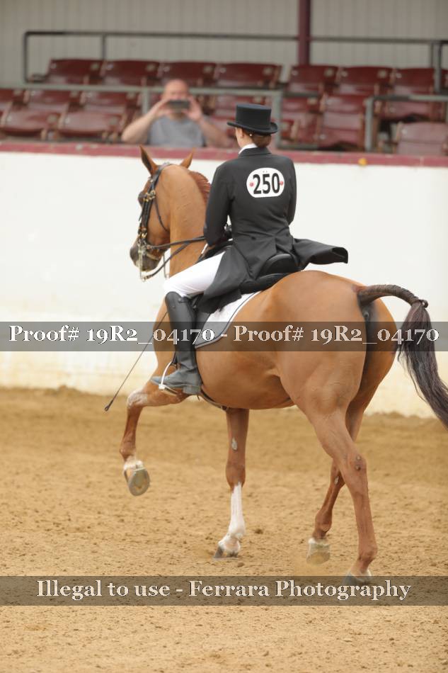 Proof 19R2_04170