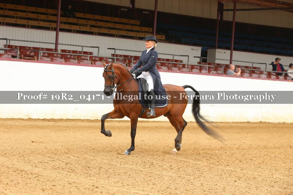 Proof 19R2_04171