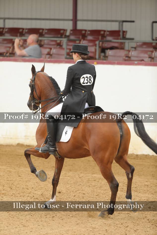 Proof 19R2_04172