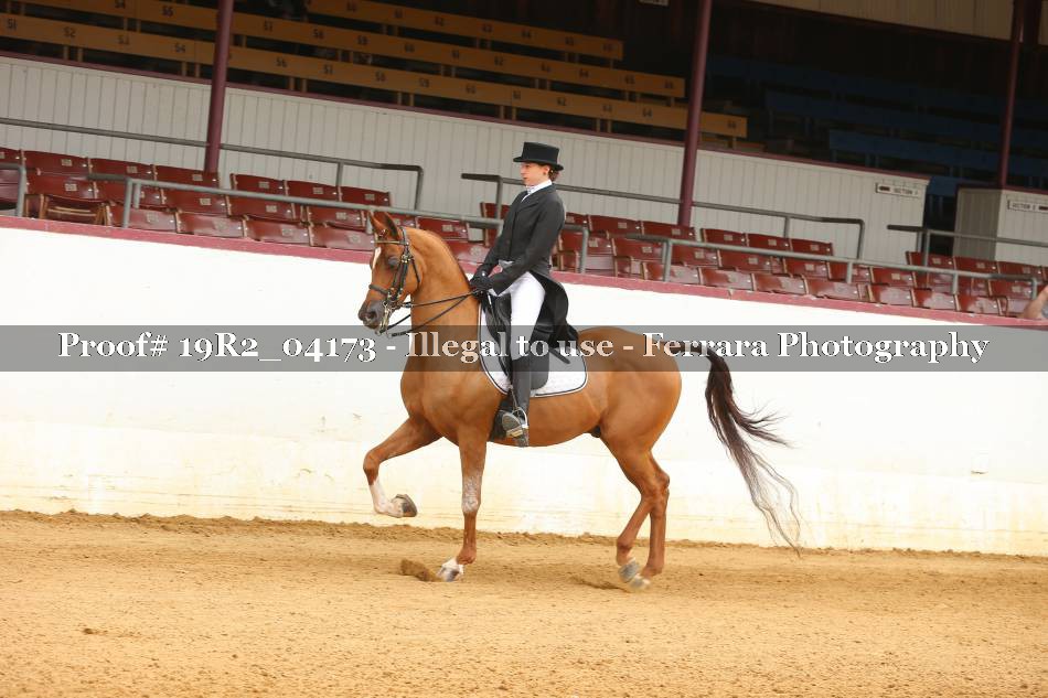 Proof 19R2_04173