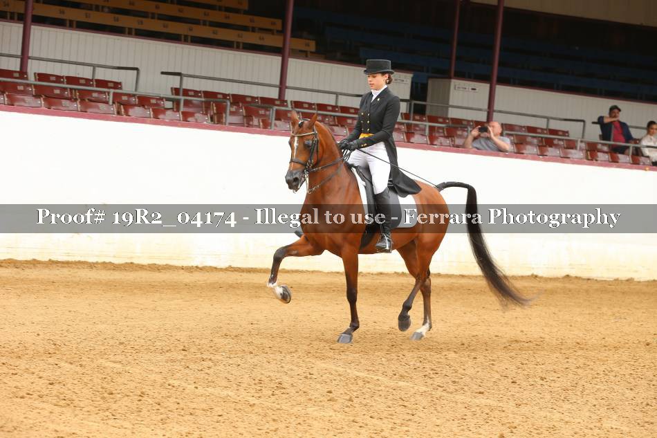 Proof 19R2_04174