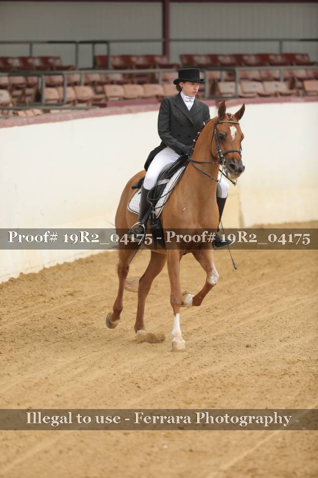 Proof 19R2_04175