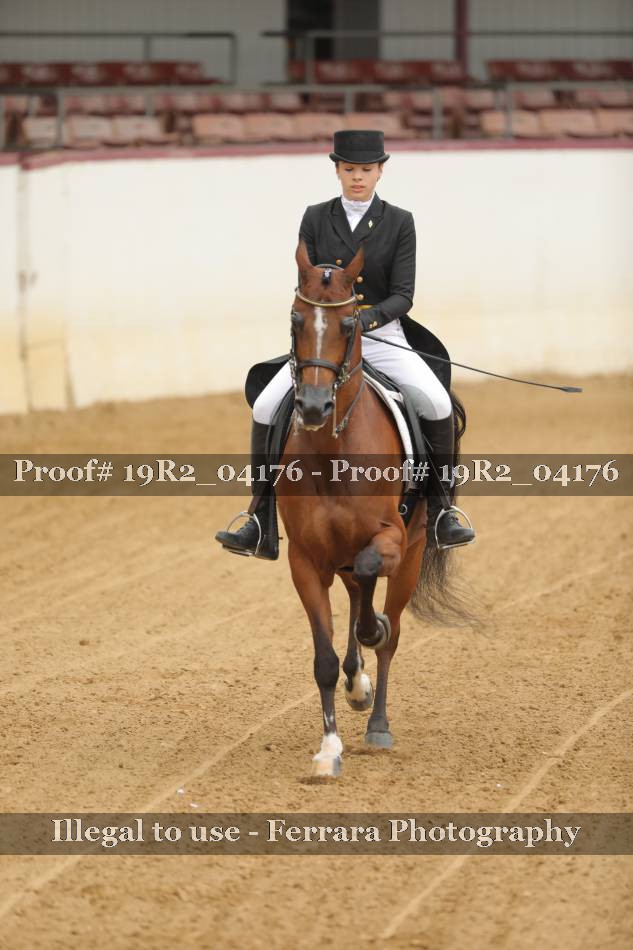 Proof 19R2_04176