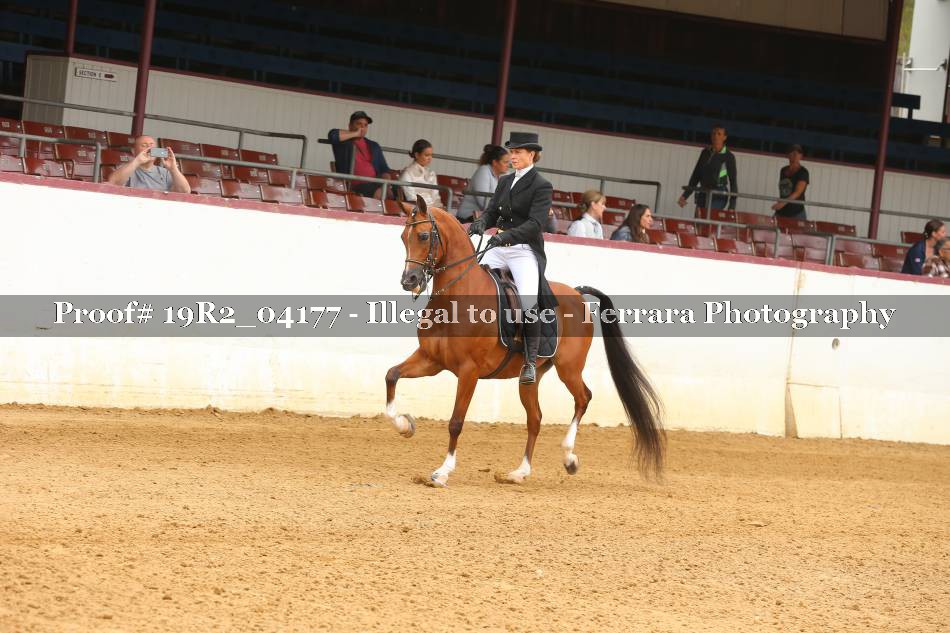 Proof 19R2_04177