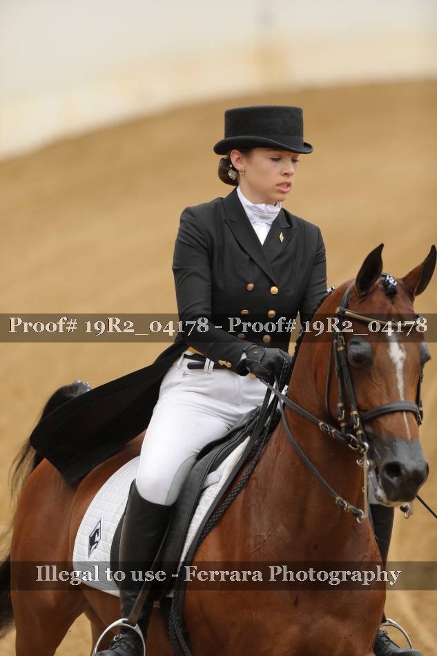 Proof 19R2_04178