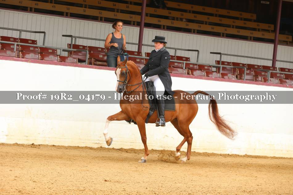 Proof 19R2_04179