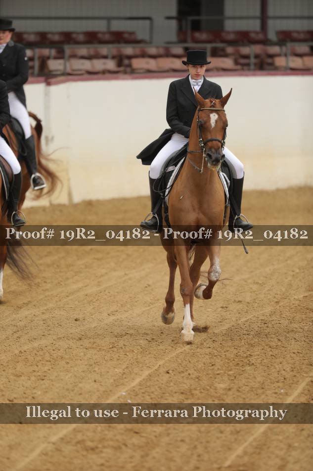 Proof 19R2_04182