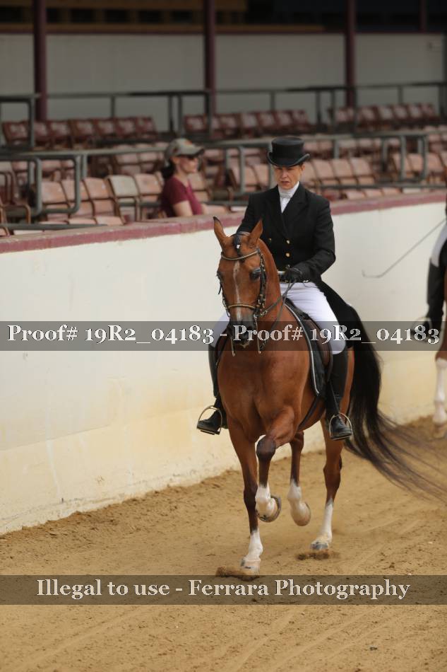 Proof 19R2_04183