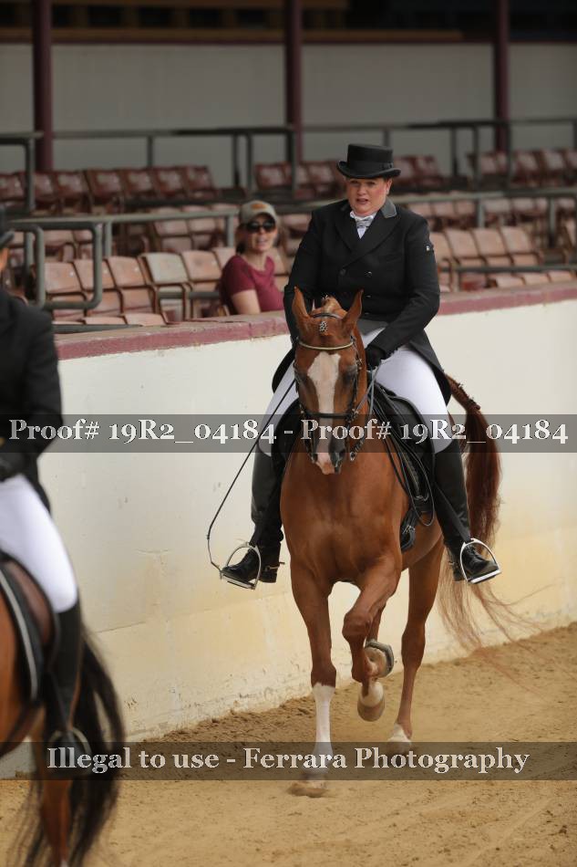 Proof 19R2_04184