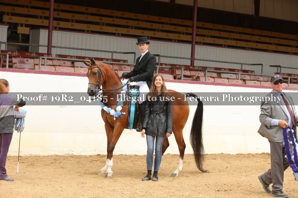 Proof 19R2_04185